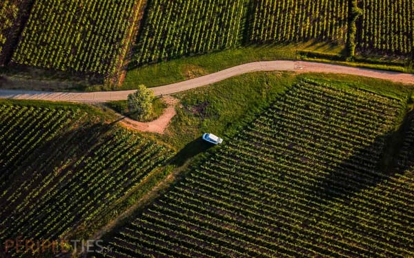 The Alsace wine route by motorhome: our itinerary